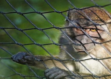 AISI 304 316 Animal Enclosure Mesh Easy Installation For Keep Animals Safety