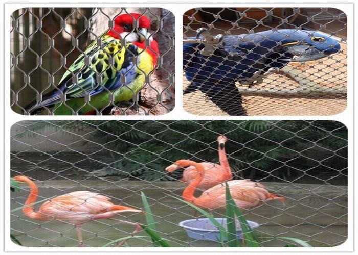 Illustration of Rust Proof Macaw Aviary Entrance System